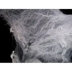 Spider Webbing