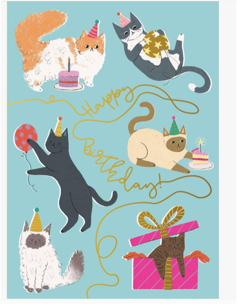 Playhouse Children's Birthday Card - Birthday Cat