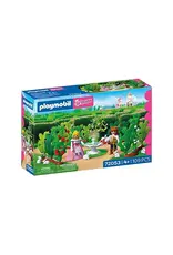 Playmobil Playmobil Princess Royal Maze
