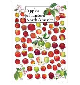 Earth Sea Sky Poster Apples of Eastern North America