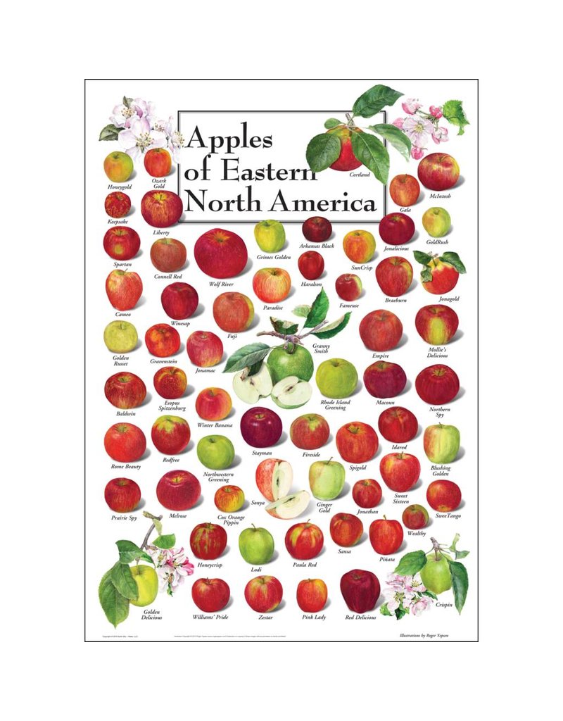 Earth Sea Sky Poster Apples of Eastern North America