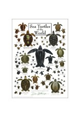 Earth Sea Sky Poster Sea Turtles of the World