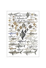 Earth Sea Sky Poster Sharks, Skates, & Rays of the Atlantic & Gulf of Mexico