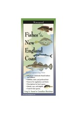 Steven M Lewers and Associates Waterproof Guide Fishes of the New England Coast