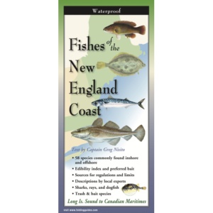 Waterproof Guide Fishes of the New England Coast