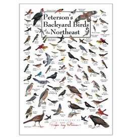 Earth Sea Sky Poster Peterson's Backyard Birds of the Northeast