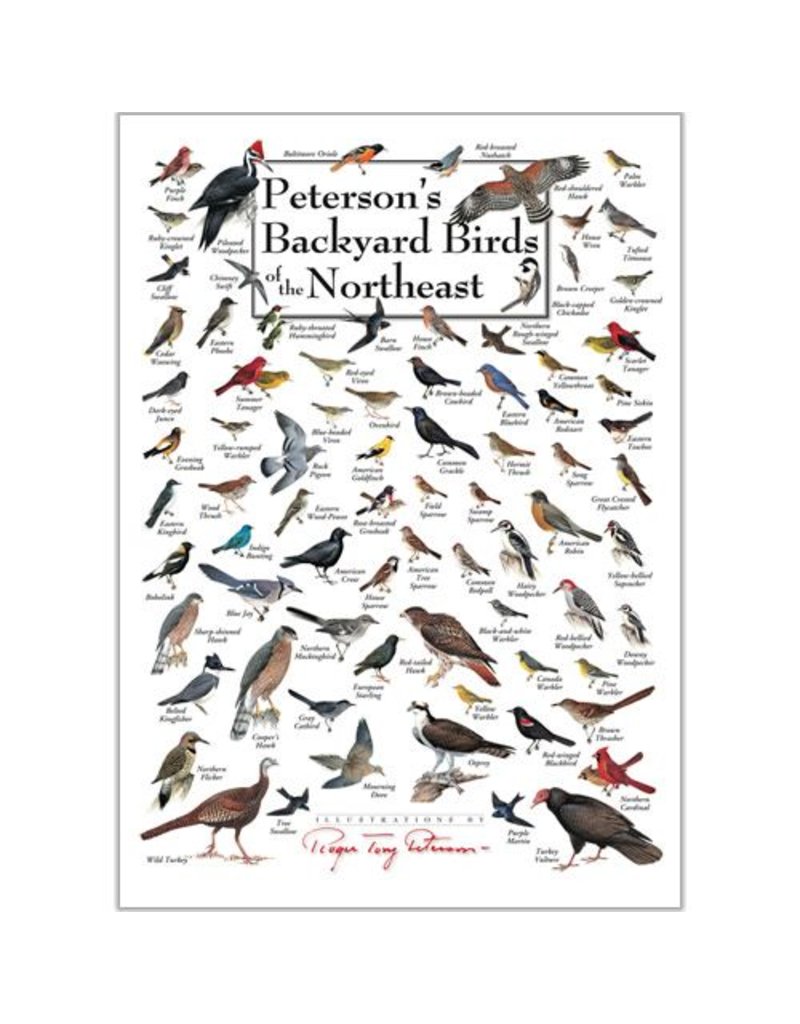 Earth Sea Sky Poster Peterson's Backyard Birds of the Northeast