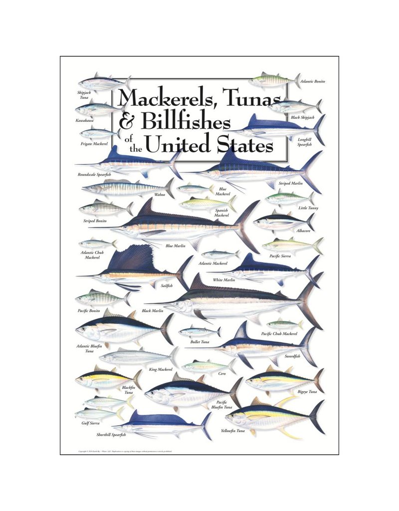 Earth Sea Sky Poster Mackerels, Tunas & Billfishes of the United States