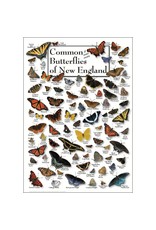Earth Sea Sky Poster Common & Some Exotic Butterflies of New England