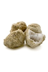 Squire Boone Village Rock/Mineral - Geode Cystoid Fossil, Crack Your Own (Approx. 3-4"; Sizes and Colors Vary; Sold Individually)