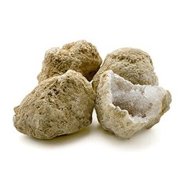 Squire Boone Village Rock/Mineral - Geode Cystoid Fossil, Crack Your Own (Approx. 3-4"; Sizes and Colors Vary; Sold Individually)