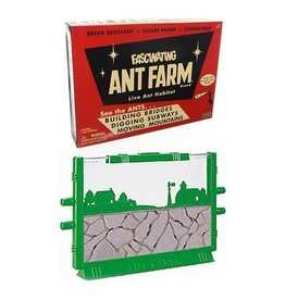 Uncle Milton Science Kit Ant Farm