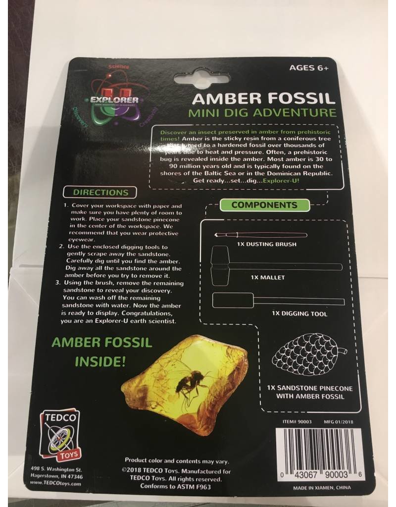 Tedco Toys Dig Kit Amber Fossil