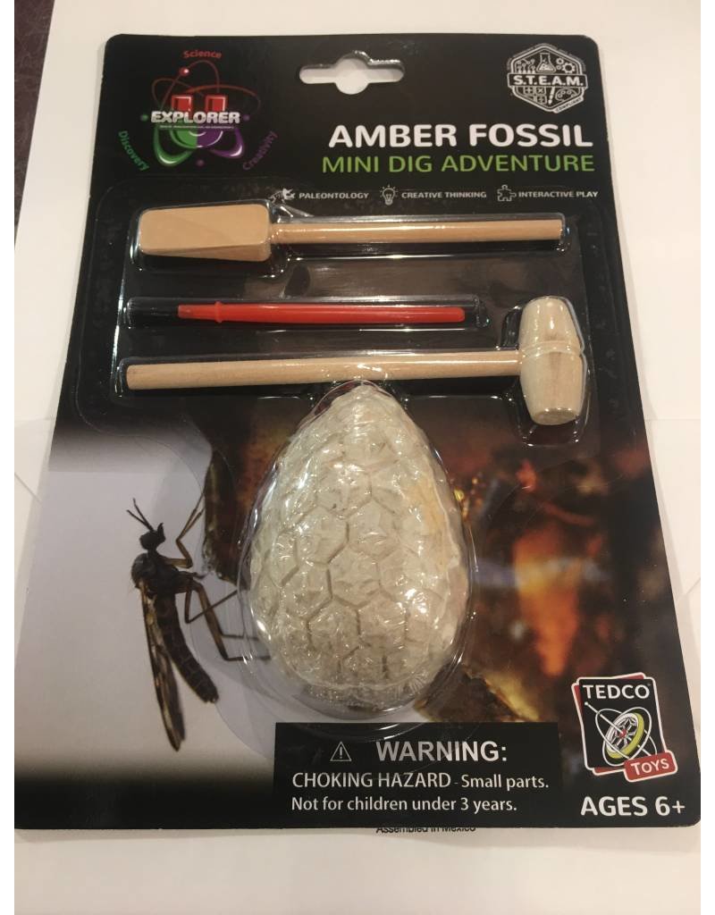 Tedco Toys Dig Kit Amber Fossil