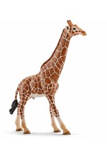 Schleich Schleich Giraffe, Male