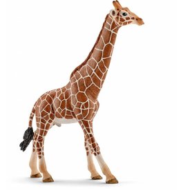 Schleich Schleich Giraffe, Male