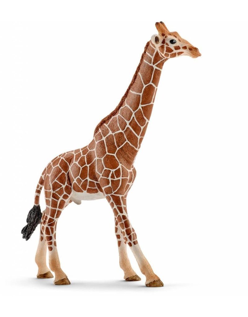 Schleich Schleich Giraffe, Male