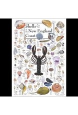 Earth Sea Sky Poster Shells & Beach Life of the New England Coast
