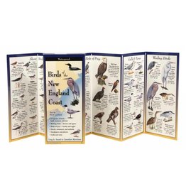 Earth Sea Sky Waterproof Guide Birds of the New England Coast Folding Guide