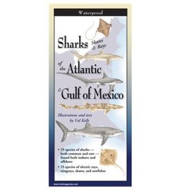 Earth Sea Sky Waterproof Guide Sharks Skates & Rays of the Atlantic & Gulf of Mexico