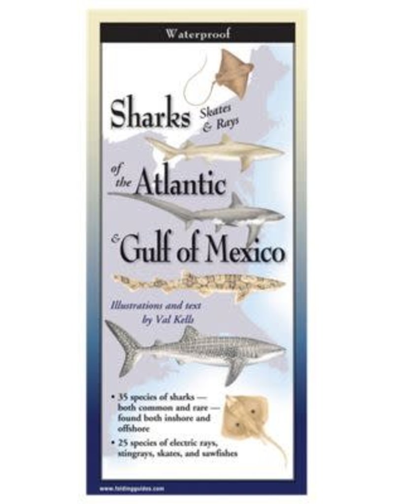 Earth Sea Sky Waterproof Guide Sharks Skates & Rays of the Atlantic & Gulf of Mexico