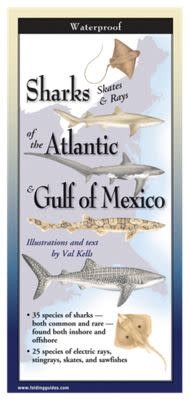 Waterproof Guide Sharks Skates & Rays of the Atlantic & Gulf of Mexico