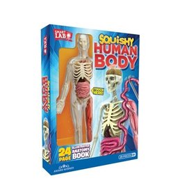 Smart lab Science Kit Squishy Human Body