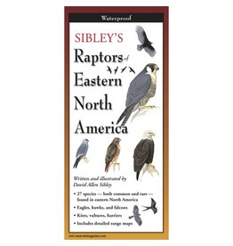 Steven M Lewers and Associates Waterproof Guide - Raptors Eastern North America