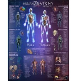 Round world Chart Human Anatomy Interactive (Laminated)