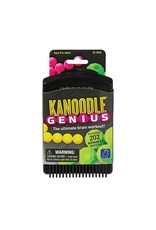 Educational Insights Game Kanoodle Genius