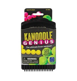 Educational Insights Game Kanoodle Genius