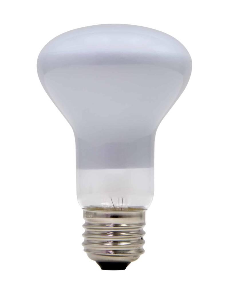 Schylling Toys Lava Lamp Light Bulb 100-Watt (for 27″ / 250 Ounces)