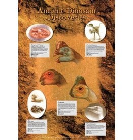 Safari Ltd. Poster Ancient Dinosaur Discoveries