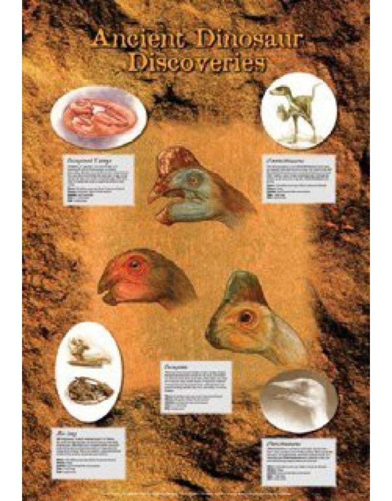 Safari Ltd. Poster Ancient Dinosaur Discoveries