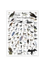 Earth Sea Sky Poster Birds of the New England Coast