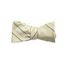 The Barret Bow Tie