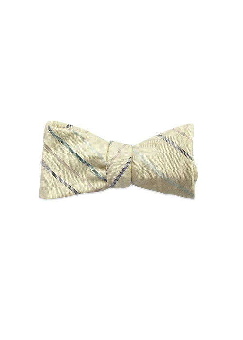 The Barret Bow Tie