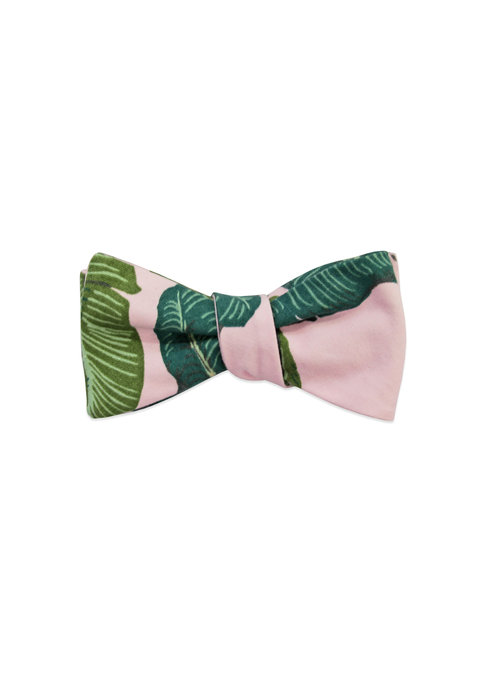 Pocket Square Clothing The Bev Bow Tie