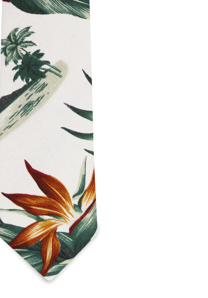 The Hani Birds of Paradise Tropical Print Tie