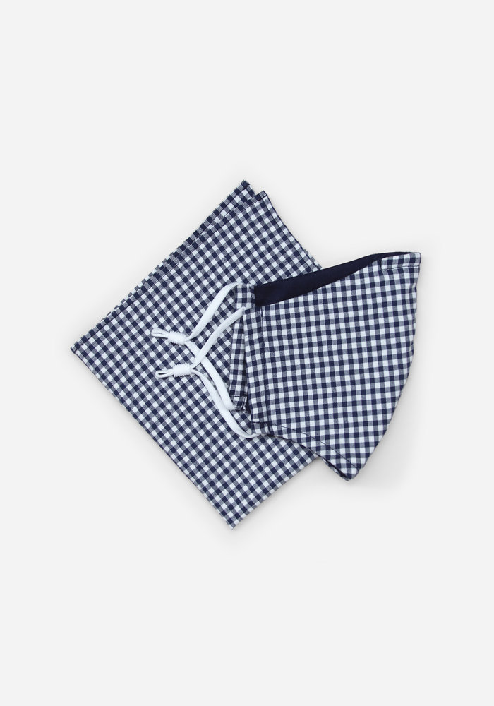 Blue Gingham Pocket Square and Face Mask Set