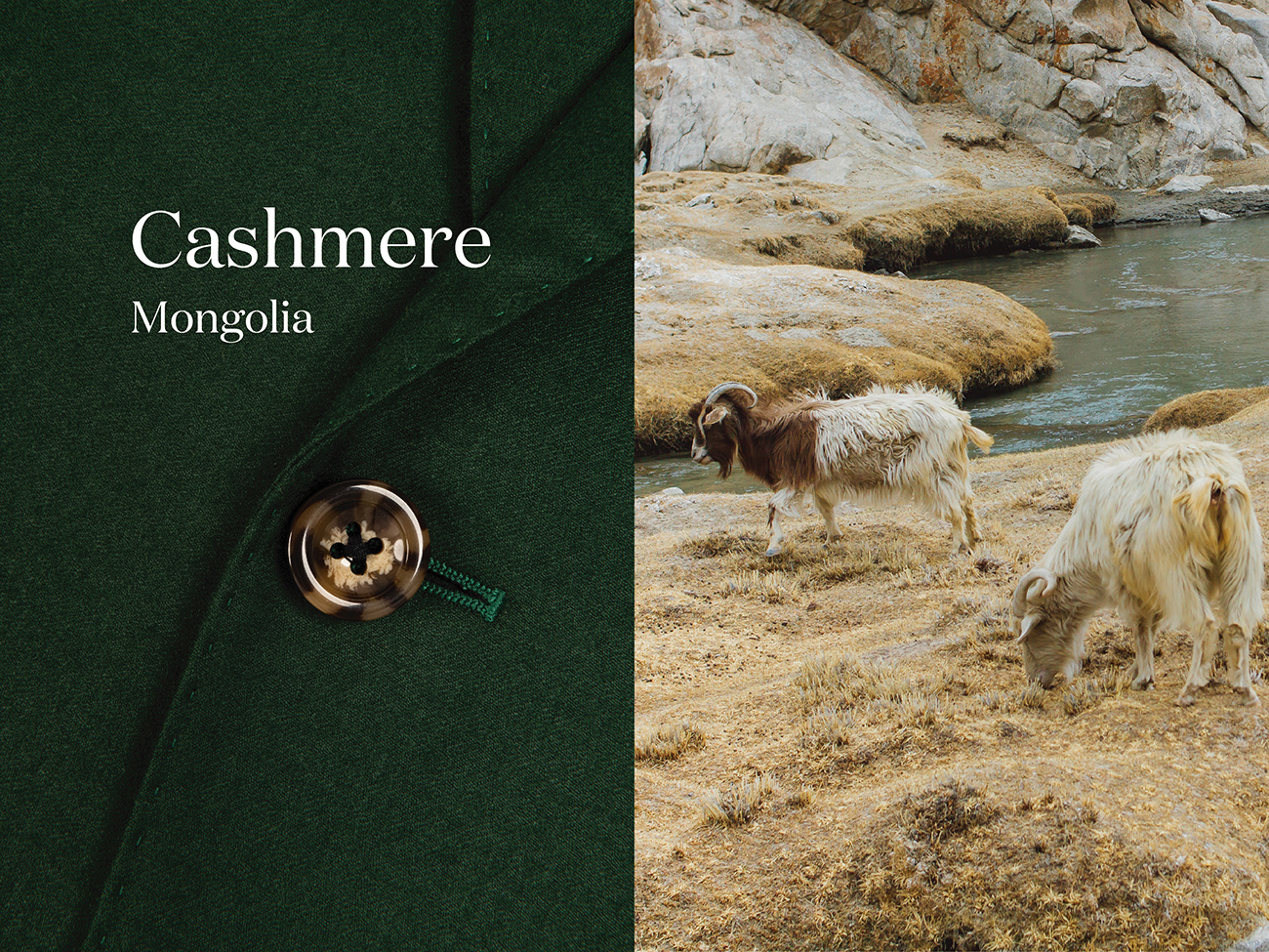 Is Cashmere Warm? A Guide to Cashmere