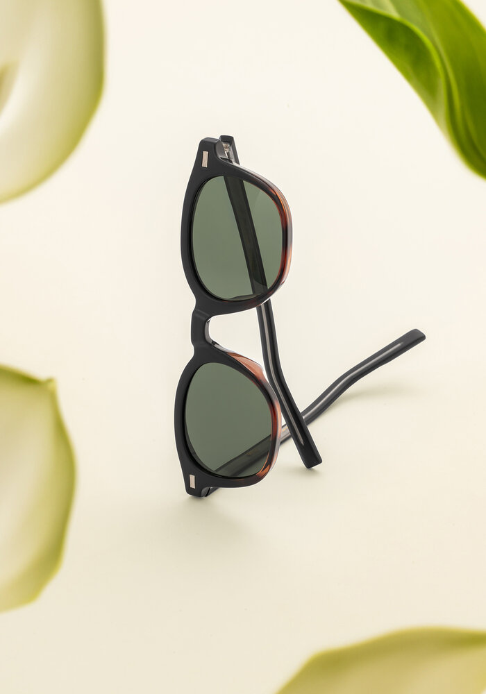 Ean - Black Tortoise / Green