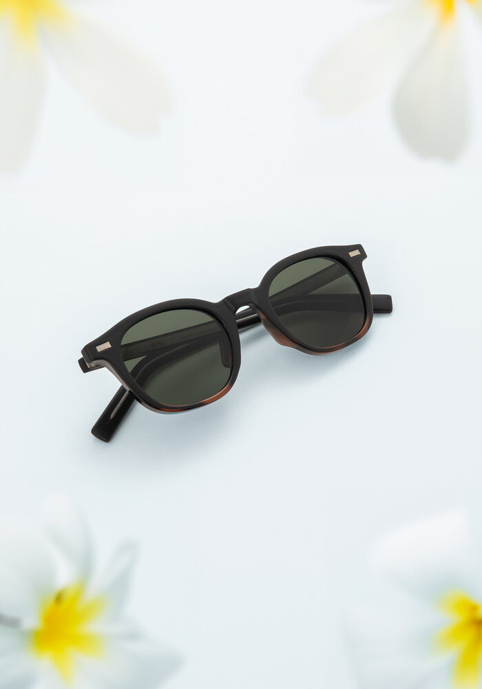 Ean - Black Tortoise / Green