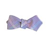 The Twain Bow Tie