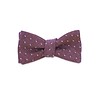 The Wilson Bow Tie