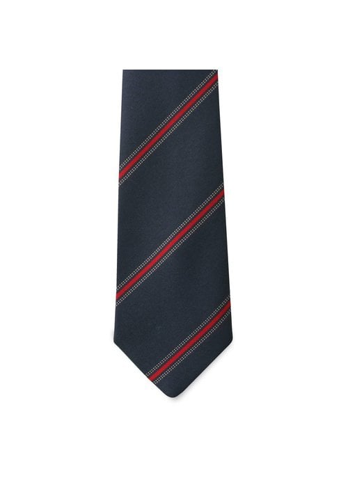 The Reagan Tie