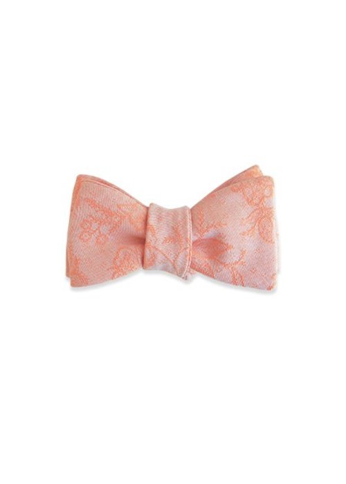 Pocket Square Clothing The Parvati Bow Tie