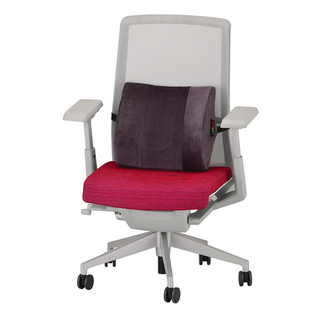 Nova Nova Back Cushion