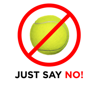 Nova NOVA GLIDE SKIS FOR A WALKER