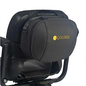 Golden Golden Travel Case